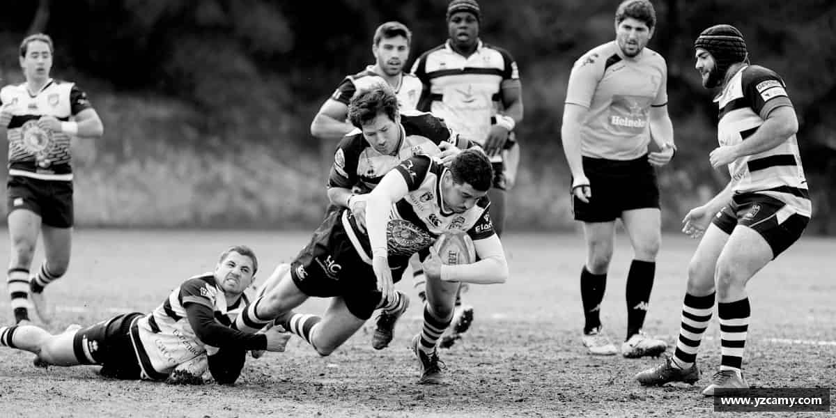 知道bevictor官网